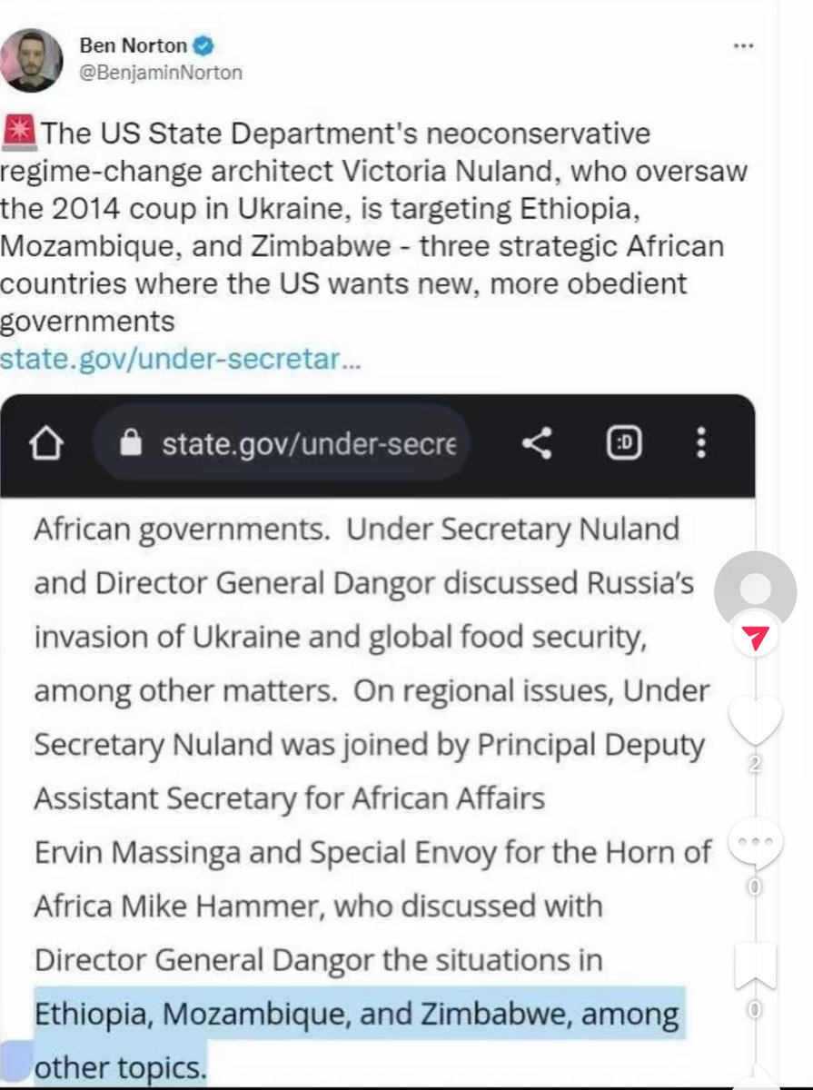 LungaAB's tweet image. ⁦@ProfJNMoyo⁩ ⁦@matigary⁩ Considering that:
1. They participated &amp;amp; turned a blind eye to the 2017 coup
2. There’s nothing revolutionary about the economy of Zimbabwe not policies to make it sovereign

What’s their bone of contention with the Zim regime?