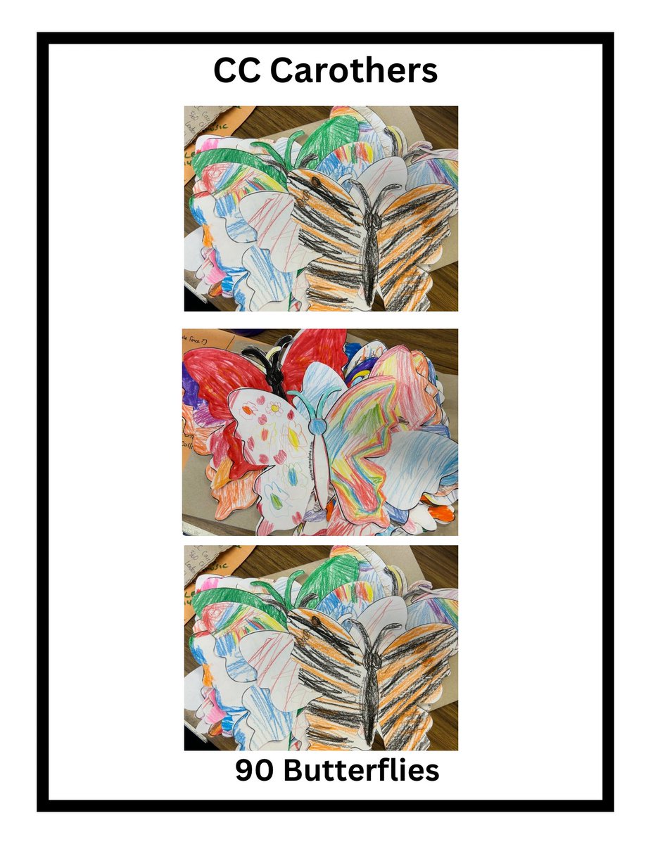 Learning For All Outdoors tweet media