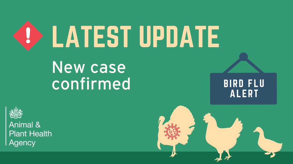 Highly pathogenic avian influenza H5N1 has been confirmed at a premises near Watton, Mid Norfolk, Norfolk. All bird keepers should remain vigilant and follow stringent biosecurity measures to prevent future outbreaks. More information at: gov.uk/bird-flu

#BirdFlu