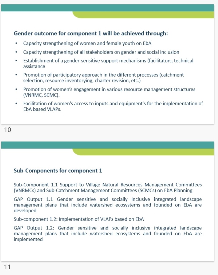 FAOMalawi's tweet photo. Leaving no one behind
#EbAM project Implementation will ensure that “women and female youth have meaningful participation during planning & implementation”
@TelekaFaith , @FAOMalawi Gender specialist outlined the measures that have been put in place to ensure #Inclusion https://t.co/vYlGIjRjcZ
