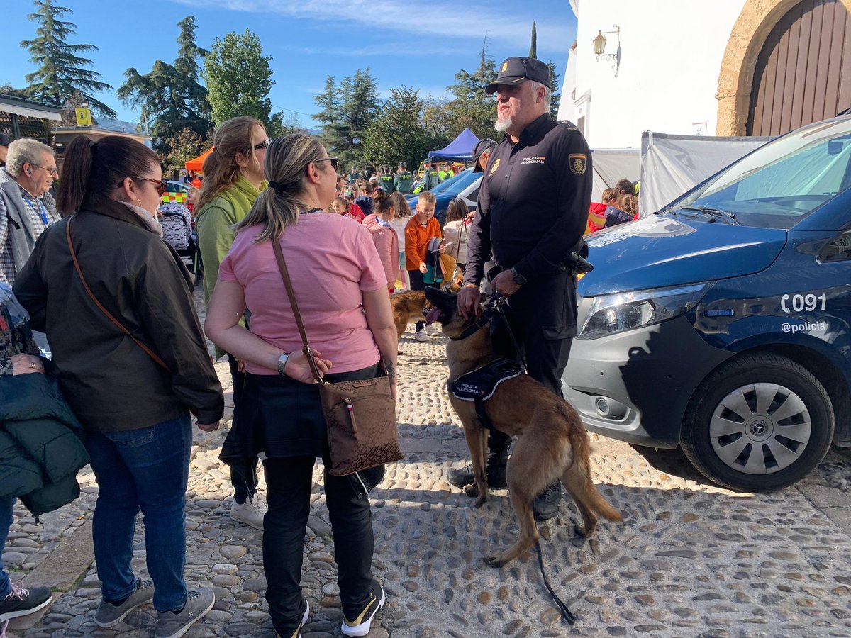 policia's tweet photo. Así de bien lo han hecho nuestros agentes caninos en una actividad organizada en los colegios de #Ronda,  adelantándose a la celebración del #DíaDeLaConstitución 💙 https://t.co/LEPCSftxmp