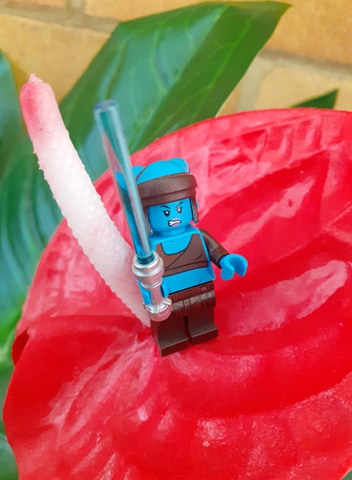 Tim Graham tweet media