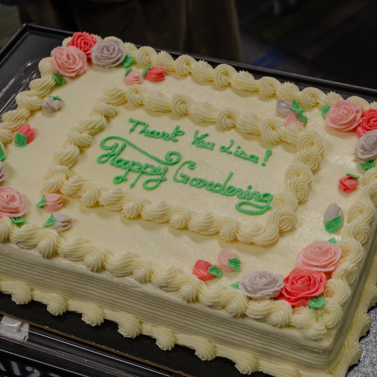 Monday was Dr. Lisa Rosenberg's last day of teaching! We decided to surprise her in her final class with a cake. After an incredibly successful career as a researcher and teacher, Lisa is planning to retire in the summer of 2025.