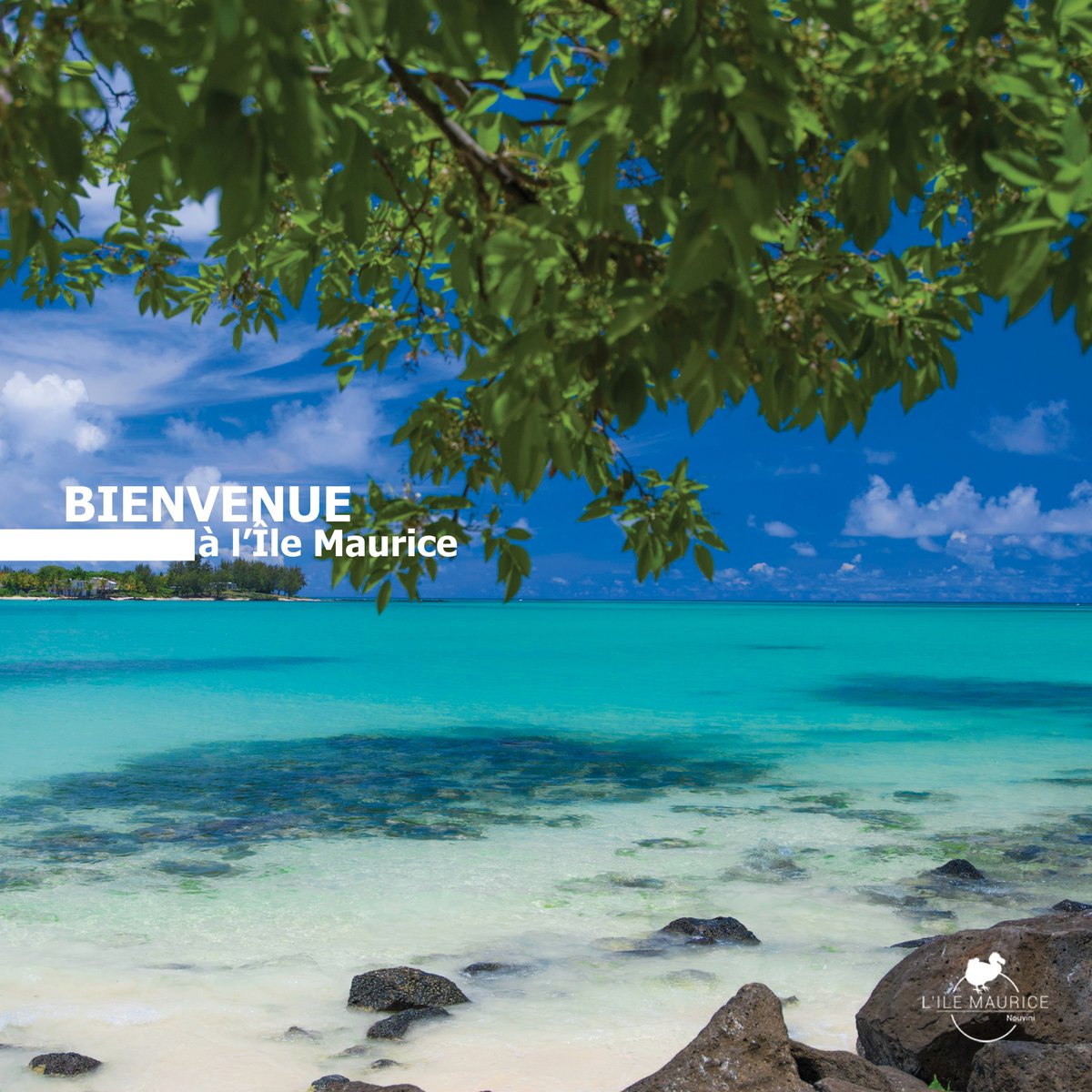 🌴 Plages, culture et authenticité : Bienvenue à l'Île Maurice

Explorez l’île avec nos experts locaux.

👉 ile-maurice.nouvini.com

❤️ Quelle est votre définition d’un paradis ? Partagez en commentaire !

#ÎleMaurice #VoyageSurMesure #NouviniÎleMaurice