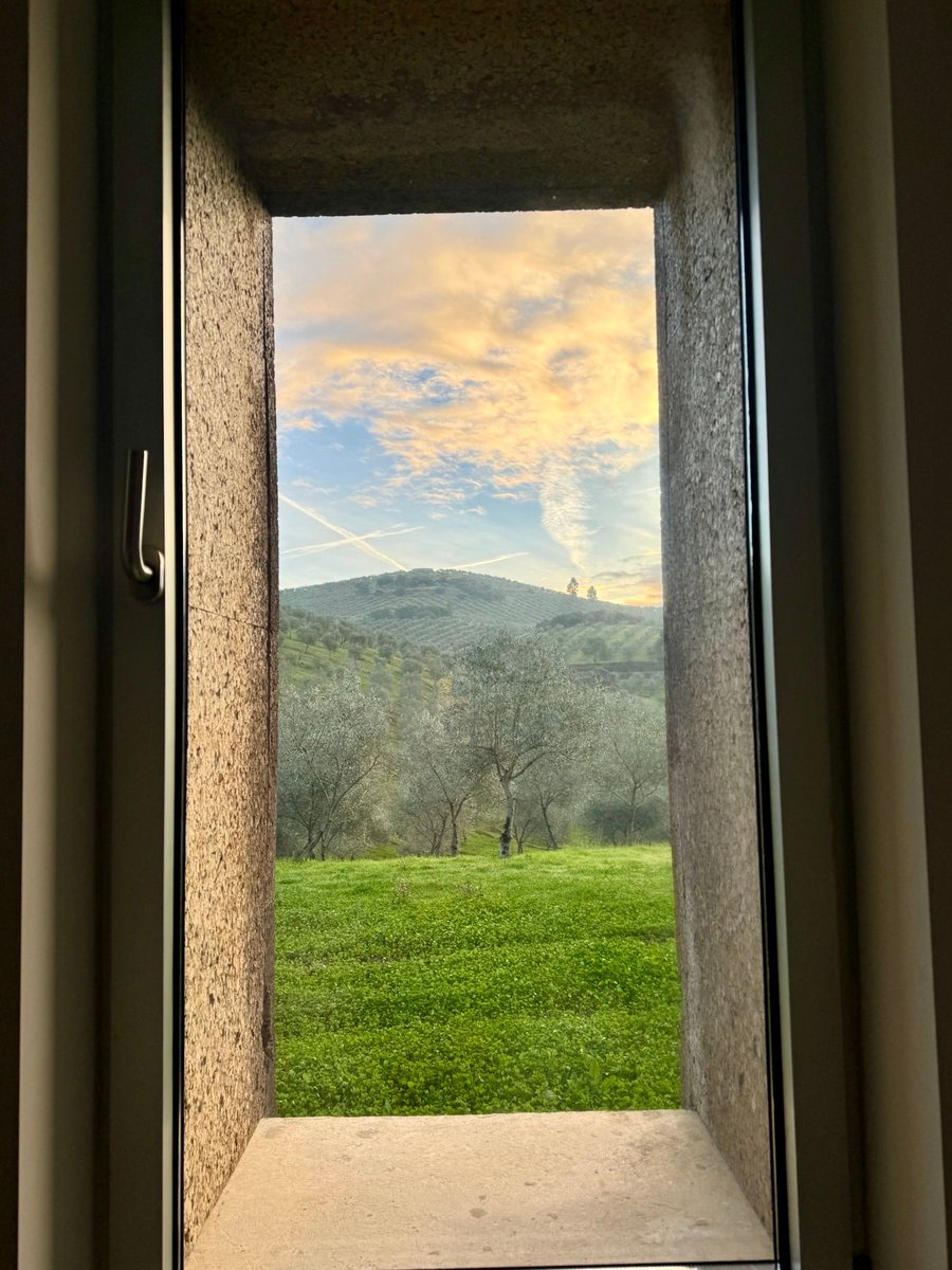 @wildlyvirgin tweet media