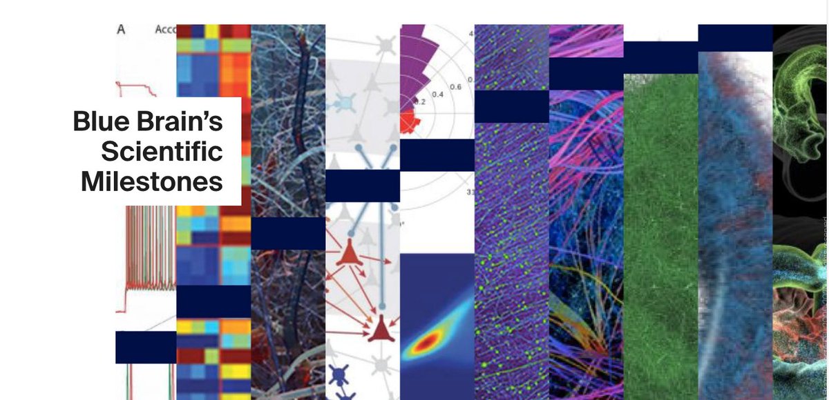BlueBrainPjt's tweet image. Two decades of groundbreaking work at @BlueBrainPjt !As the project concludes, dive into a digest of key scientific milestones and notable publications.
epfl.ch/research/domai…
Want to try #simulation #neuroscience ? Check our platform & its developments: openbluebrain.com