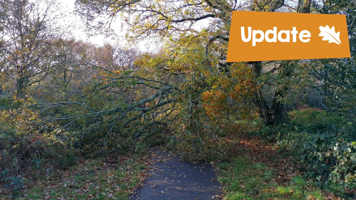 Due to the strong wind forecast, we've decided to close on Saturday 7th December 2024.
Rangers are scheduled to complete site checks and if safe we'll aim to open at 10am on Sunday 8th December.
Please check our website and social media for updates before travelling on Sunday