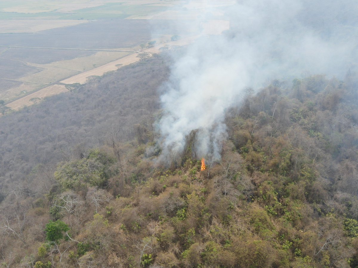 BCB_Samborondon's tweet photo. Hoy continuamos controlando el #IncendioForestal en el #CerroSantaAna, en coordinación con @Riesgos_Ec , @FuerzaAereaEc, @MuniSamborondon, @PoliciaEcuador y el BCBS 👩🏻🚒 https://t.co/ZDhKinpXwt