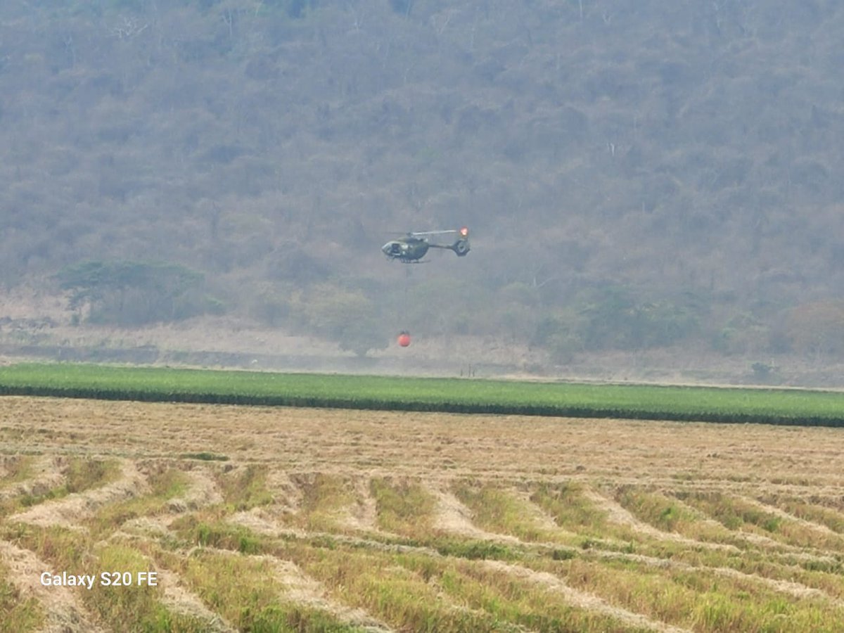 BCB_Samborondon's tweet photo. Hoy continuamos controlando el #IncendioForestal en el #CerroSantaAna, en coordinación con @Riesgos_Ec , @FuerzaAereaEc, @MuniSamborondon, @PoliciaEcuador y el BCBS 👩🏻🚒 https://t.co/ZDhKinpXwt