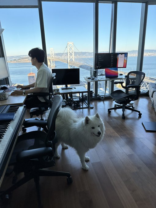 Bert_Schafer's tweet photo. Office dog! https://t.co/qssLu2szYn