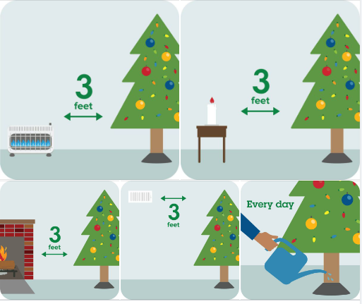 Is your tree in a safe place? Keep your tree away from heat sources and exits, and water it daily. For #christmastreesafety tips, visit: nfpa.org/holiday #WinterFireSafety