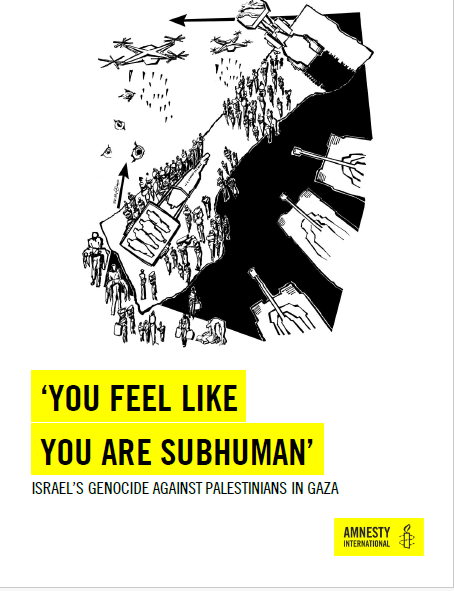 Some observations on why Amnesty International (AI)’s Report on “Israel’s Genocide against Palestinians in Gaza” is flawed

Genocidal intent (the dolus specialis) is the key requirement for finding a State responsible for genocide

🔷Of the 296 pages of the Report just five pages