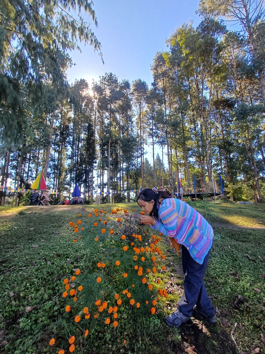 InduChukhu_'s tweet photo. Ziro, only three hours drive from Itanagar. A place, I never feel bored of visiting. #Seeh Lake https://t.co/3JYq0dSyPm