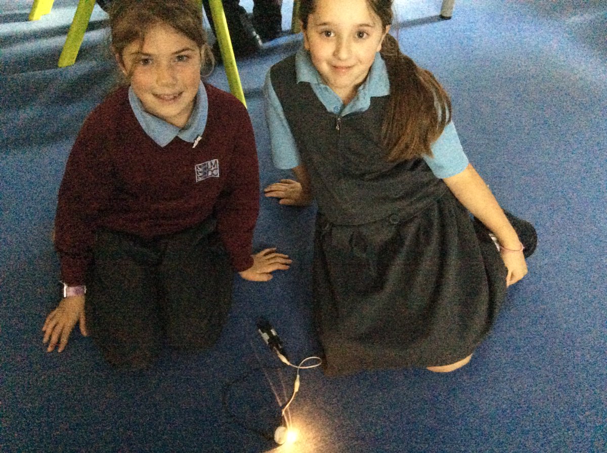 La Mare Primary tweet media