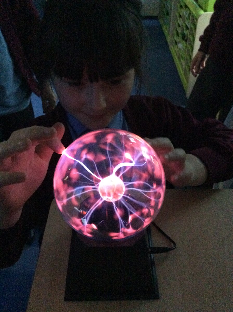 La Mare Primary tweet media