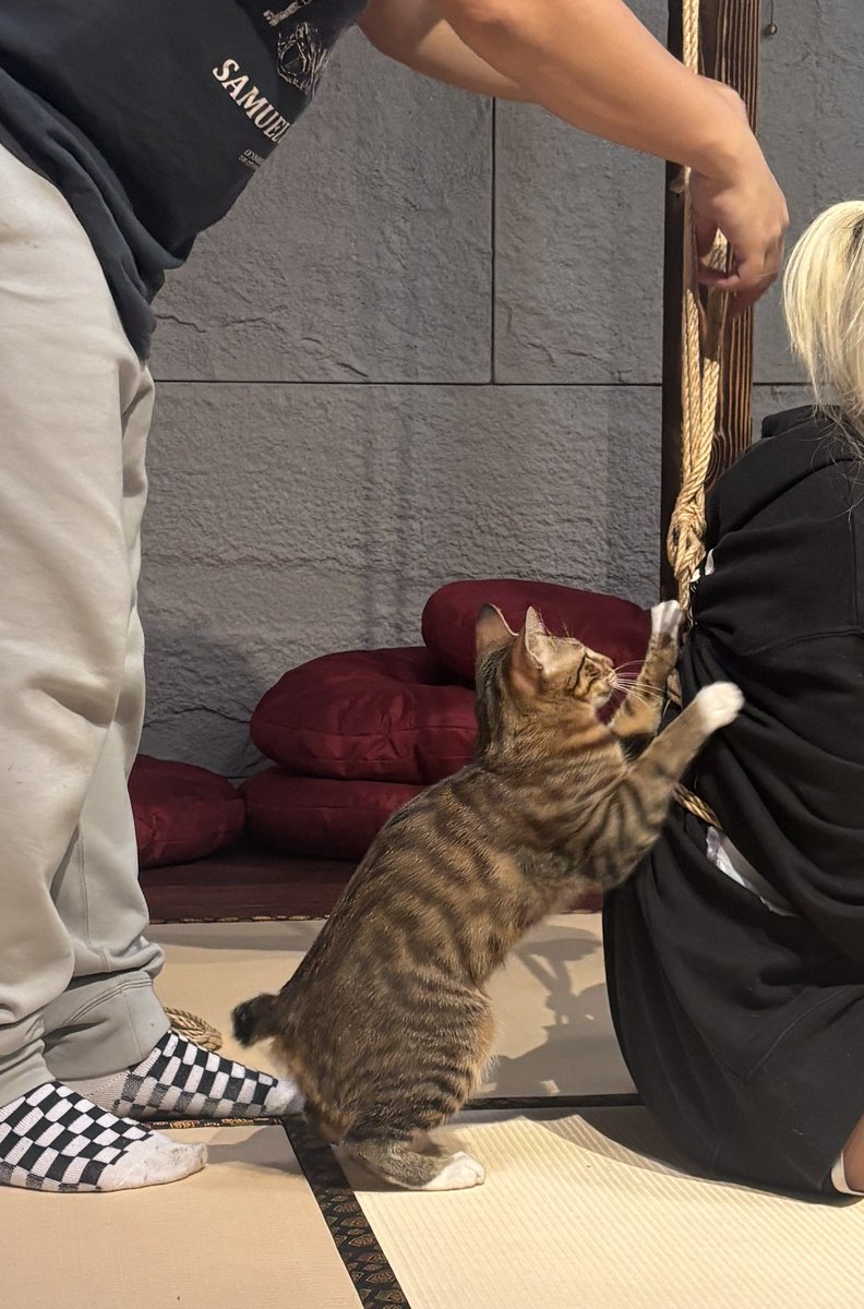 一日限定の縄屋アシスタント