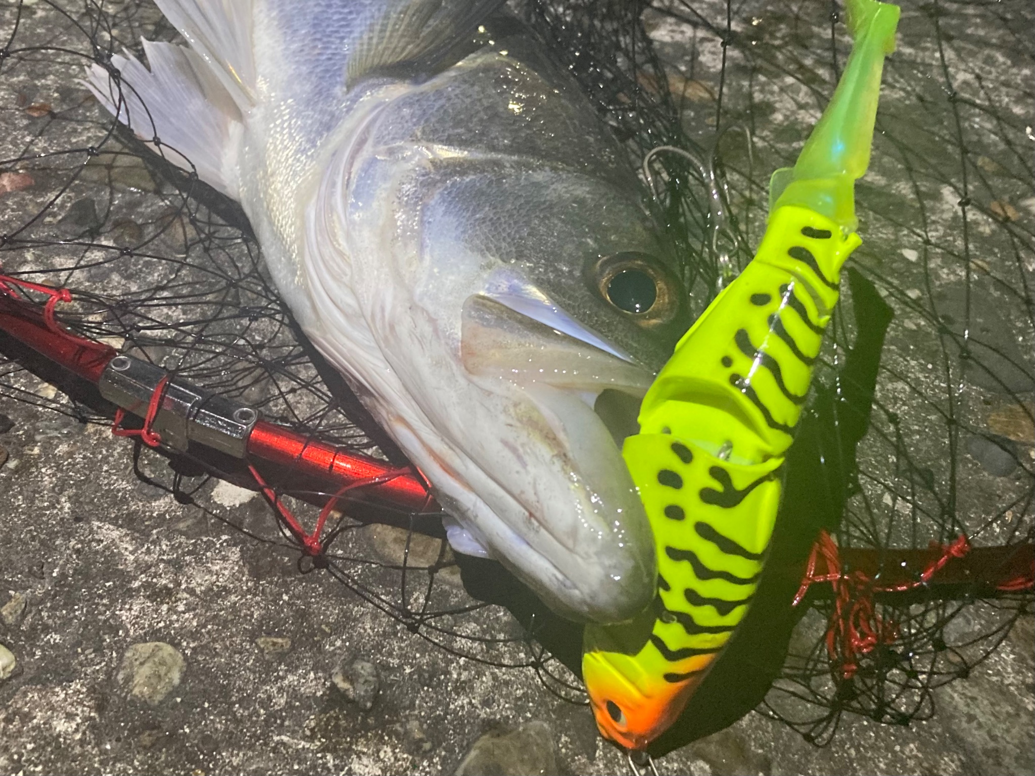 オリカラ】イエローボアセット ブルージュ カゲロウ ジグザグベイト