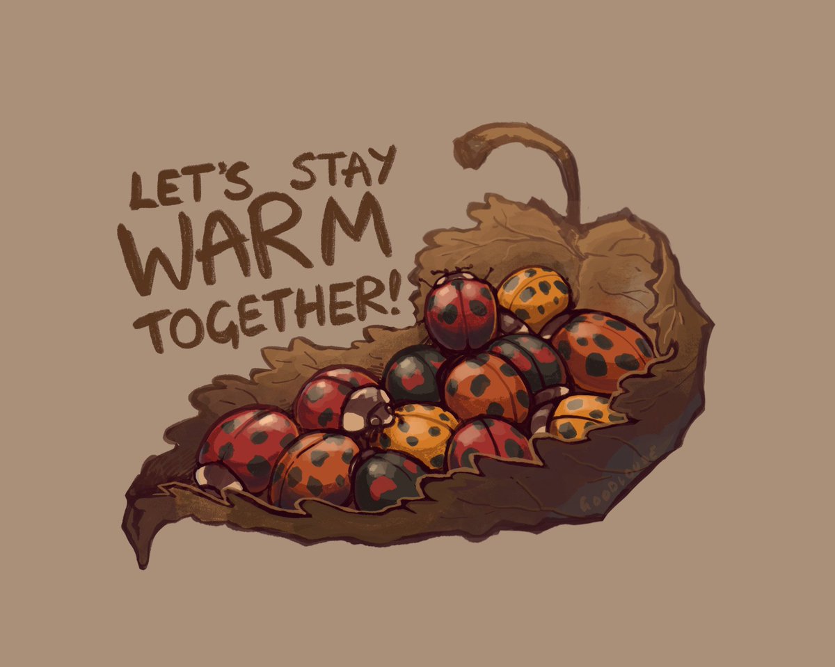 goodlouse tweet media