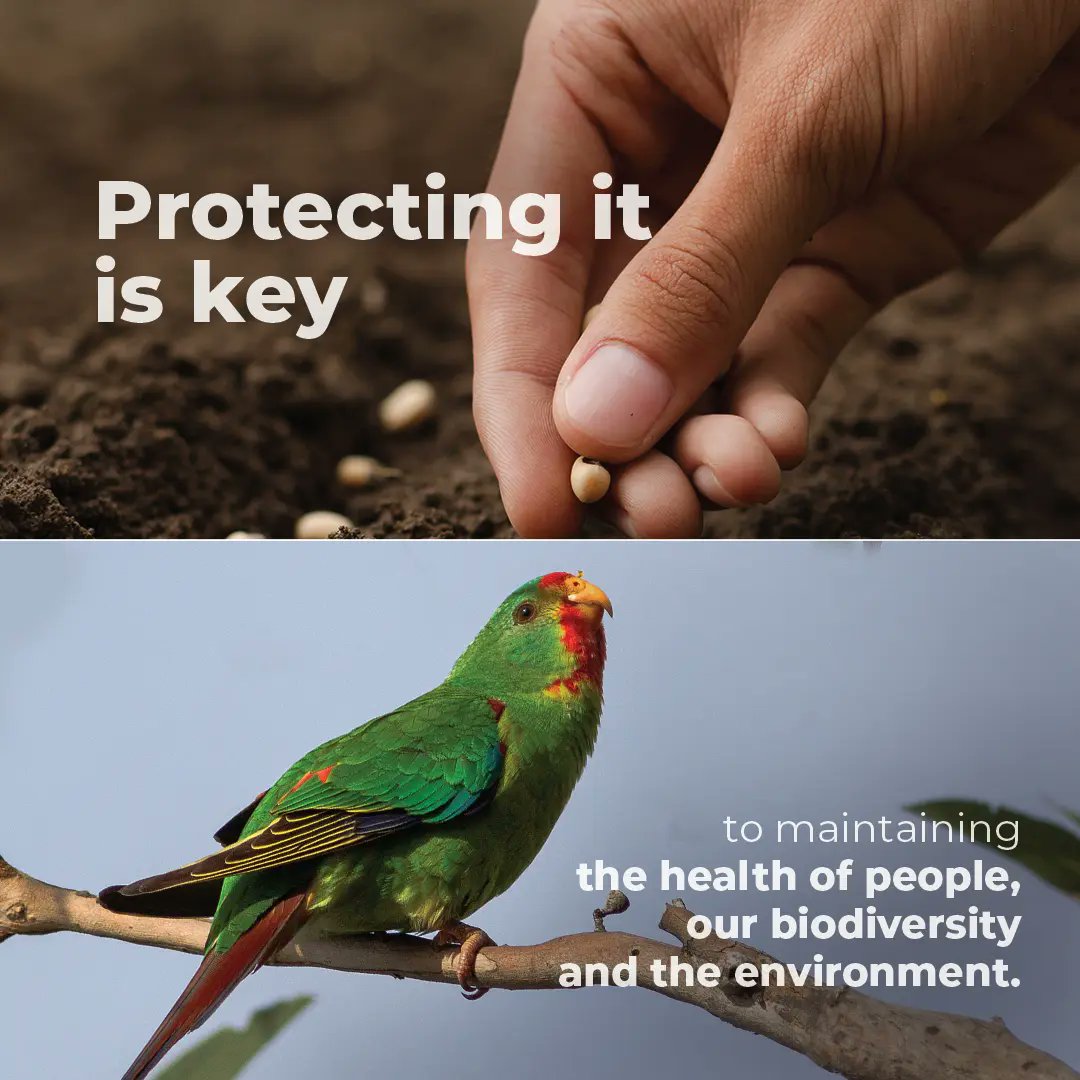 It’s #WorldSoilDay!

As <a href="/UNCCD/">UN Land and Drought</a> #COP16Riyadh shines a spotlight on land degradation and solutions to combat it, swipe to uncover key facts about soil and land—and why they’re vital to all life on Earth. #GenerationRestoration