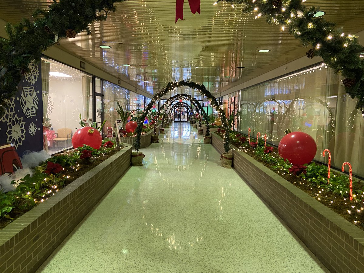 lsuvetmeddean's tweet photo. Iโm always delighted to update the Louisiana Board of Veterinary Medicine on all our advances @LSUVetMed! Held at the Department of Agriculture & Forestry, I was struck by the beautiful seasonal decorations as I walked in! #LSU #LBVM #ScholarshipFirst #WeProtect #WeLead #WBTTW https://t.co/Ma85uOL2vE