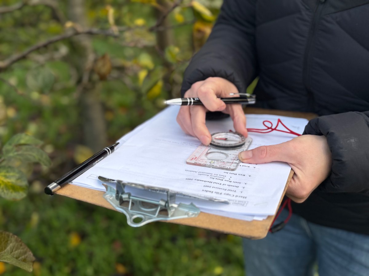 Ruth Loy tweet media