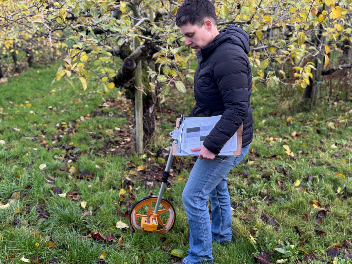 Ruth Loy tweet media