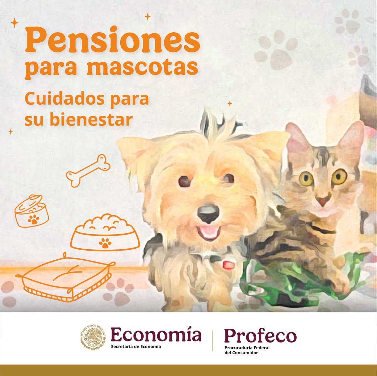 Si salen de viaje y el destino no acepta a sus mascotas, en la <a href="/RdelConsumidor/">Revista del Consumidor</a> les dejamos algunos consejos para que comparen y elijan la pensión adecuada a su presupuesto y necesidades de sus animalitos de compañía. 

¡Consúltenla! 
🔗 goo.su/3PcsAkD
