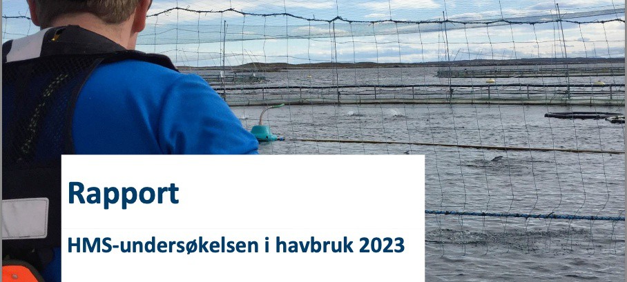 hmskurs's tweet photo. HMS i havbruk og akvakultur
▸ https://t.co/ISrSxs4eEC

#havbruk #akvakultur #Hmskurs #Nettkurs #Lederkurs #SikreTryggeArbeidsplasser https://t.co/JNFlcAo6le