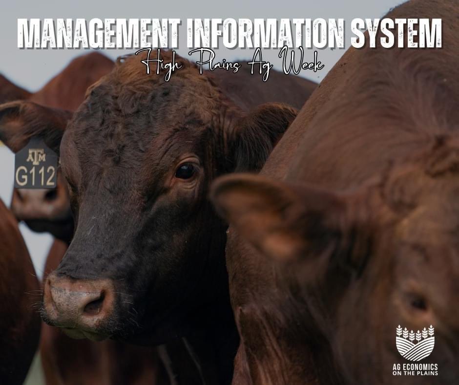Whether you’re managing a small family farm or a large commercial ranch, a Management Information System can help you make data-driven decisions, improve efficiency, and achieve your goals.

agrilife.org/agecon/managem…