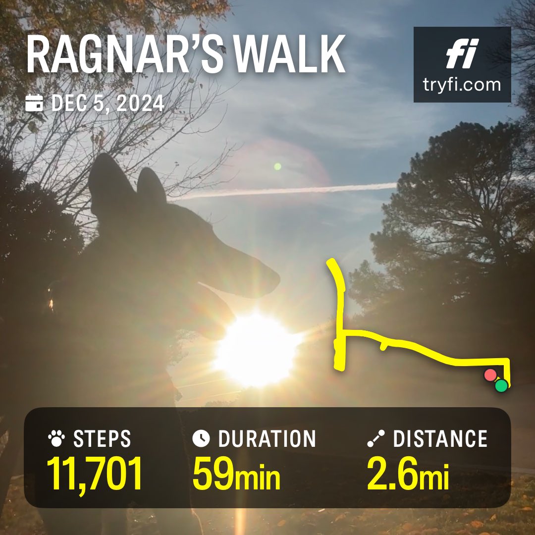 PepitaCorona's tweet photo. Check out Ragnar’s walk! https://t.co/EHH3GWGiXf 🐾 Victory belongs to the most persevering.
Napoleon Bonaparte ⭐️👌🏽
♥️🌞Morning my #tweeterfriends hope you have a wonderful ☝🏾✅Thursday 😁 #spreadkindness https://t.co/3KL375TX1H