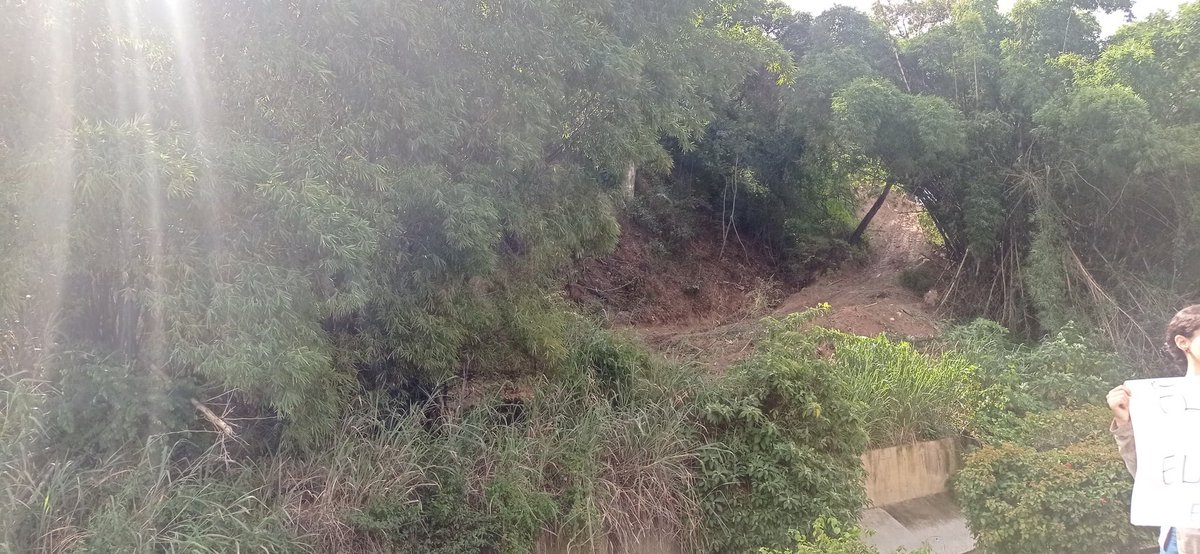 ReporteYa's tweet photo. #5Nov #Miranda #Protesta 
Vecinos de Baruta se concentraron este jueves frente al bosque de Los Guayabitos para denunciar la desforestación que está ocurriendo en la zona.

Tanto los vecinos como los activistas ambientales aseguraron que es una situacion "alarmante" que representa una "amenaza" para la biodiversidad local. Además, reclamaron por la violación a la Ley de Aguas y Ley de Bosques.
- @ElPitazoTV