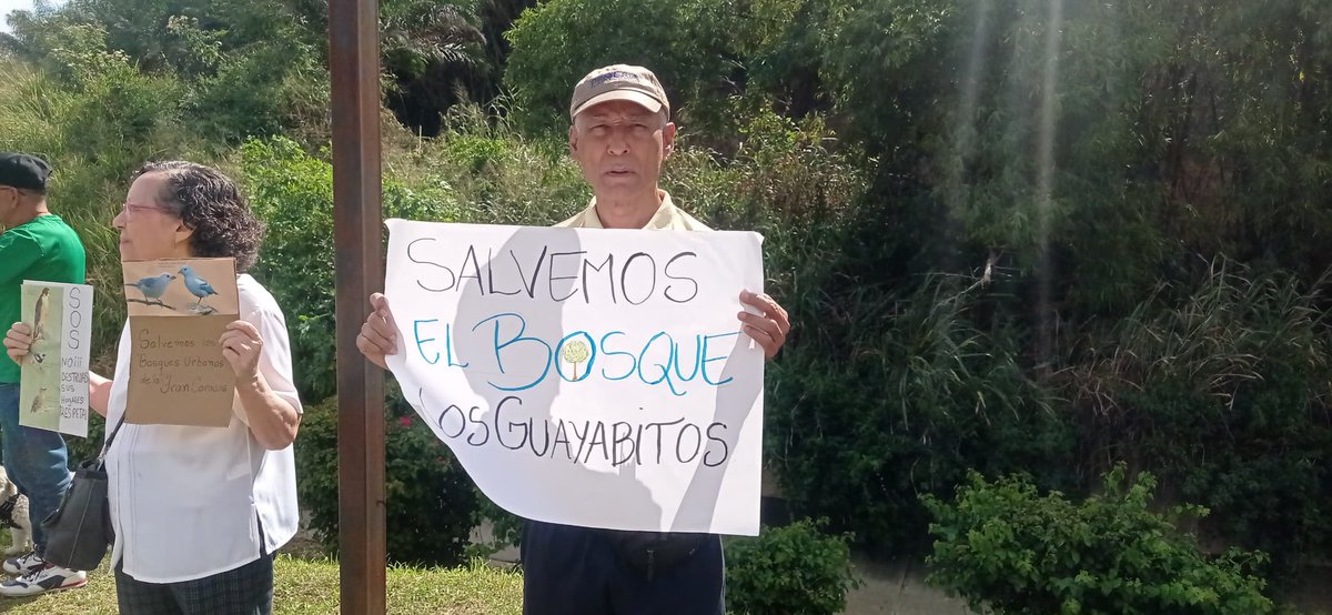 ReporteYa's tweet photo. #5Nov #Miranda #Protesta 
Vecinos de Baruta se concentraron este jueves frente al bosque de Los Guayabitos para denunciar la desforestación que está ocurriendo en la zona.

Tanto los vecinos como los activistas ambientales aseguraron que es una situacion "alarmante" que representa una "amenaza" para la biodiversidad local. Además, reclamaron por la violación a la Ley de Aguas y Ley de Bosques.
- @ElPitazoTV