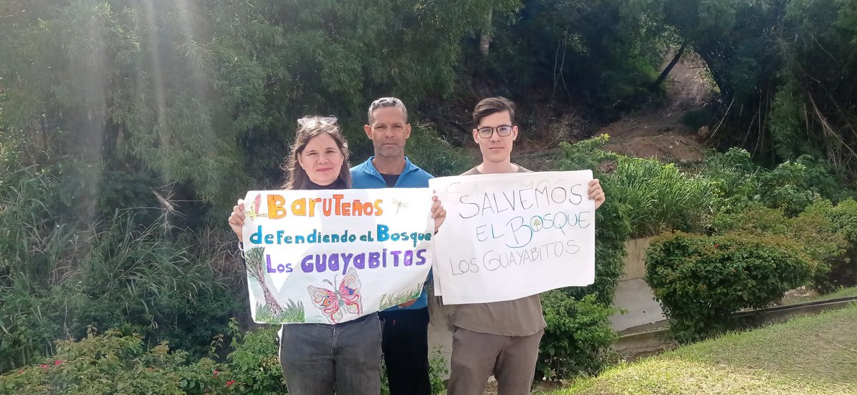 ReporteYa's tweet photo. #5Nov #Miranda #Protesta 
Vecinos de Baruta se concentraron este jueves frente al bosque de Los Guayabitos para denunciar la desforestación que está ocurriendo en la zona.

Tanto los vecinos como los activistas ambientales aseguraron que es una situacion "alarmante" que representa una "amenaza" para la biodiversidad local. Además, reclamaron por la violación a la Ley de Aguas y Ley de Bosques.
- @ElPitazoTV