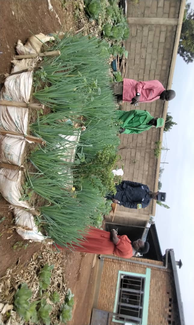 SakeSector1's tweet photo. None kuwa 05.12.2024 Es Sector Sake Bwana Ndaruhutse Jean de Dieu yayoboye inama y'inshuti z'umuryango zo mu Murenge wa Sake, aho biyemeje gukora uko bashoboye Imibereho Myiza y'abaturage ikarushaho kuba myiza,bahinga uturima tw'ibikoni,Barwanya imirire mibi n'igwingira ry'abana. https://t.co/cyONHcIBll