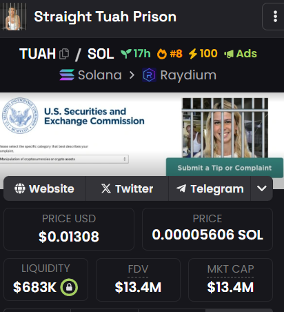 How do you think this ends up?  $HAWK vs $TUAH.  

This narrative with Haliey Welch rugging her community is hilarious.  

Then the revenge $TUAH was launched.  It's going to pass the $HAWK MC later today.  LMAO

dexscreener.com/solana/apyqx9q…