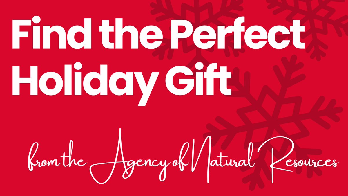 Choose from a variety of conservation-themed gifts: park punch passes, fishing license gift certificates, calendars, apparel, and more.
anr.vermont.gov/holiday-gifts