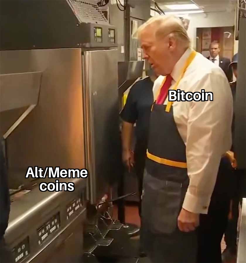 Polidics2024's tweet photo. Golden age of America MAGA $PDIC https://t.co/rXoycwyeYh