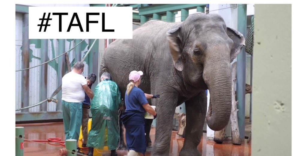 Take Action For Lucy tweet media