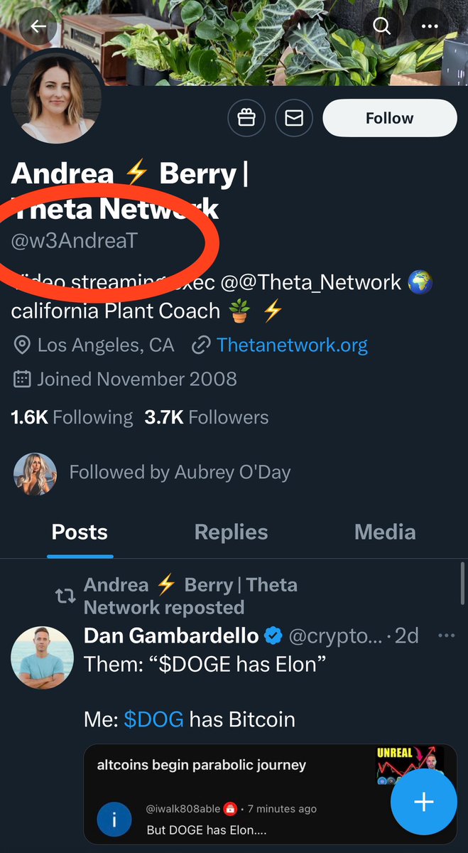 Andrea 🍓 Berry tweet media