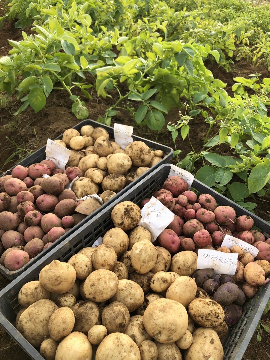 JIKE STUDIO 寺家スタジオ tweet media