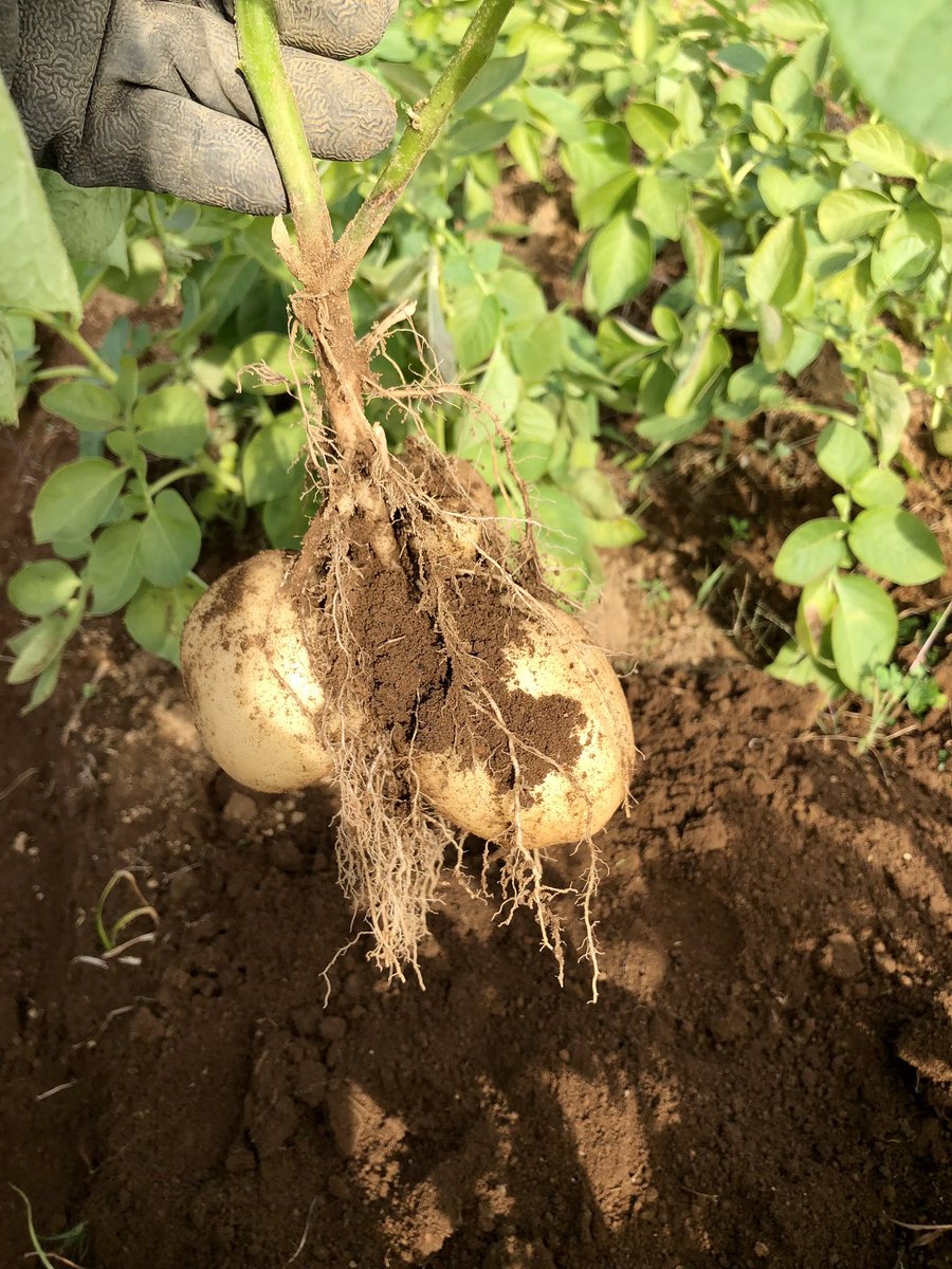 JIKE STUDIO 寺家スタジオ tweet media