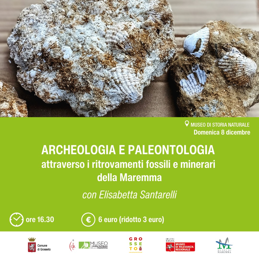 bit.ly/4g1dTZz
🟩Domenica 08 Dicembre, dalle ore 16:30 presso il Museo di storia naturale della Maremma, in Grosseto, scopriamo i segreti dell'archeologia e paleontologia attraverso i ritrovamenti fossili e minerari della Maremma!
#maremma #toscana #archeologia #Grosseto