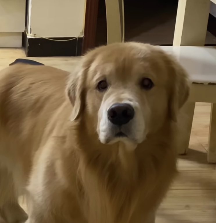 รักคุณ (@bchfyjakex) on Twitter photo 