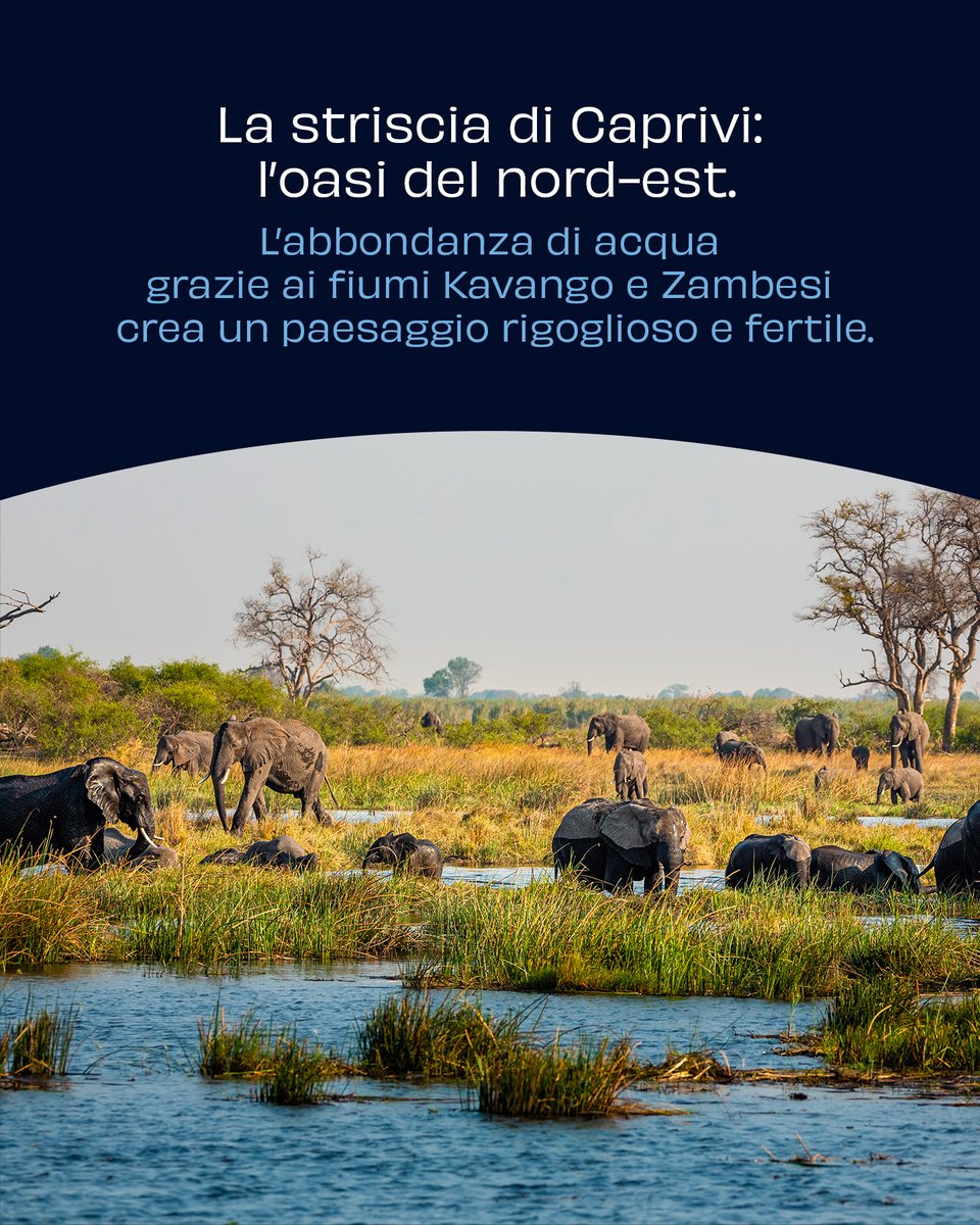 La Namibia, modellata dal tempo, offre paesaggi straordinari: le dune rosse del Namib, il Fish River Canyon, e la verdeggiante striscia di Caprivi. Un mix di natura che racconta milioni di anni di trasformazioni. Scopri di più su aroundtheblue.org #GiovanniSoldini #Namibia