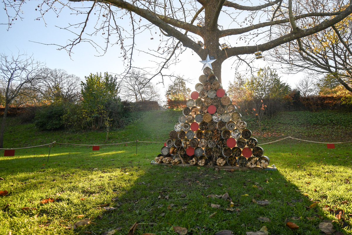 danbossdesigns's tweet photo. A trail of Christmas trees, designed by local artists, has been set up in and around various locations in Chichester 🎄 https://t.co/fWdcMn4Kff