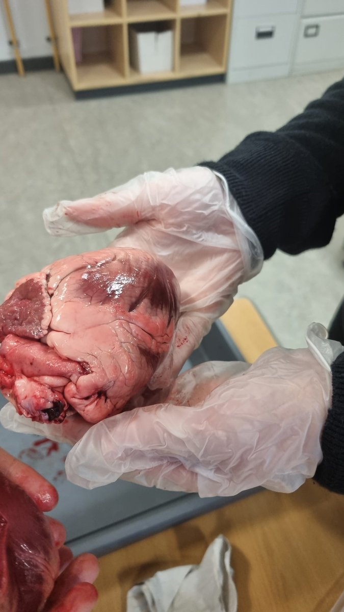 MrCharters tweet media