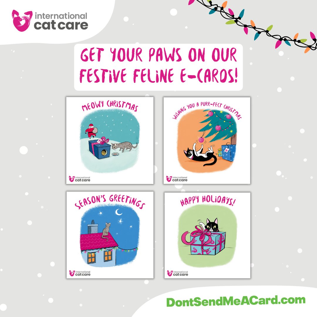 Looking to send some season's greetings? 📧 Go paperless to help cats and the environment! 😺

🐾 Get your paws on our festive feline e-cards, designed by @lilita_yaya. Just donate what you would have spent on paper cards 👉 dontsendmeacard.com/ecards/chariti…