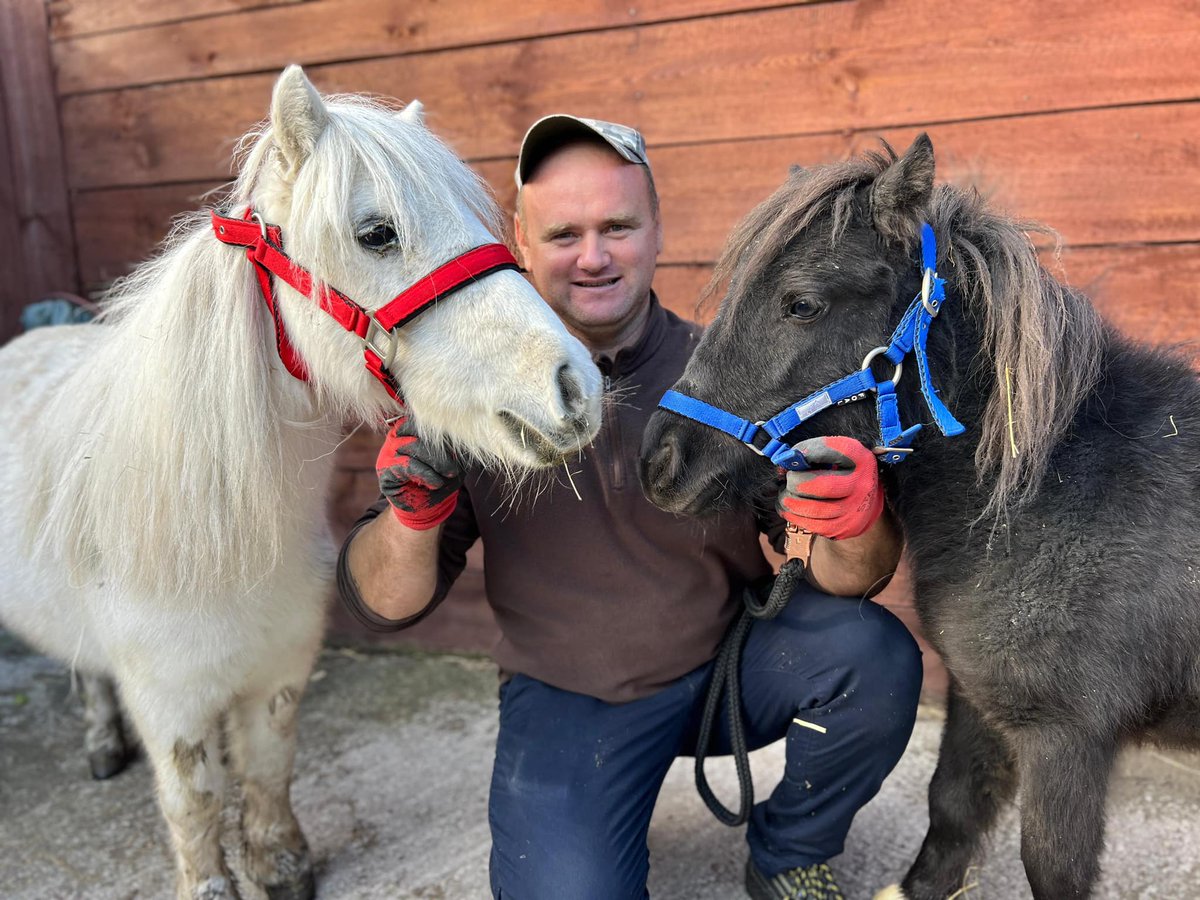 Mama i Tosia 💖 ogromnie Wam dziękujemy za pomoc w ich ocaleniu! Mama i mała są już u nas. Przed nimi kowal, weterynarz i będą mogły szukać nowego, wspaniałego domu adopcyjnego. Jesteście wielcy!