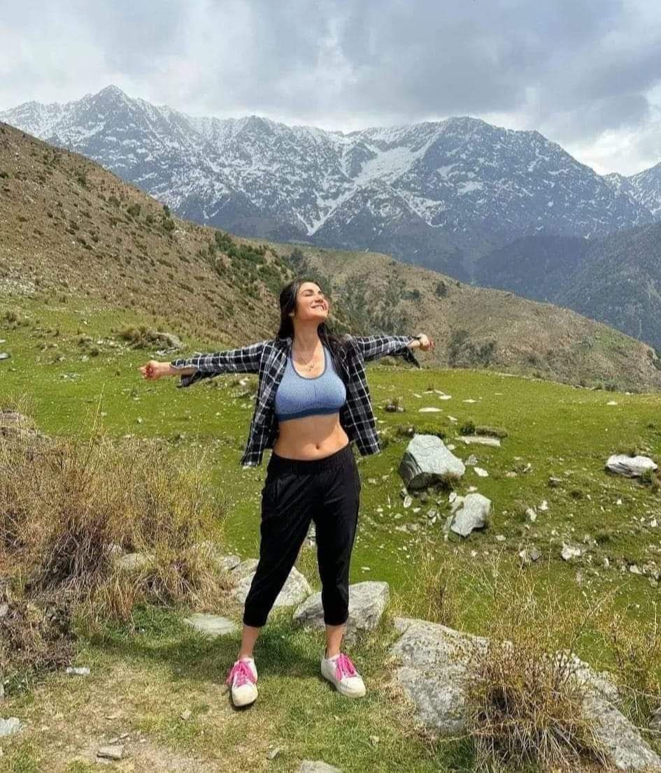 पहाड़ कैसे लगे ?