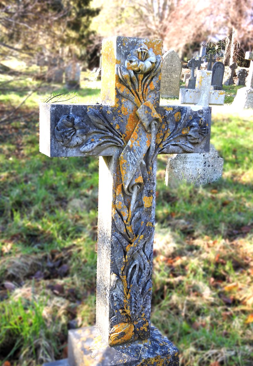 fotc2017's tweet photo. Elegant lilies and scroll at the old cemetery - December 2023 #Teignmouth #Devon #cemetery https://t.co/WzNwP0cqaS